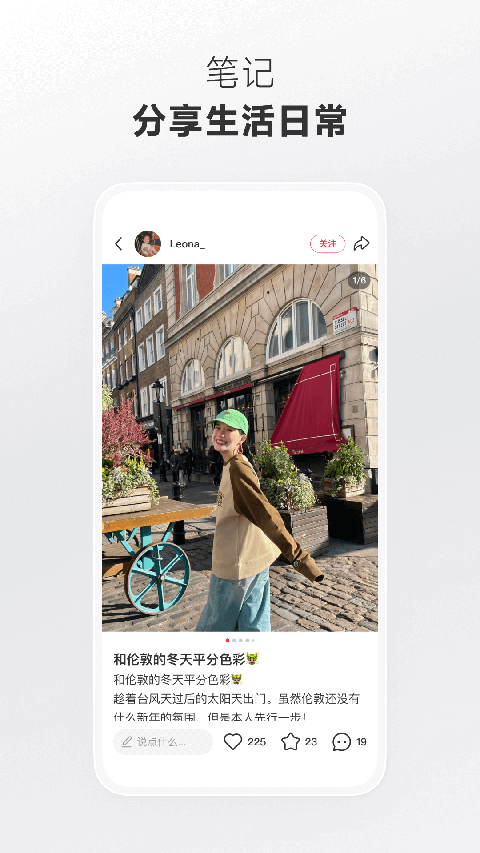 鸵鸟奔袭卷起星尘浪壁纸